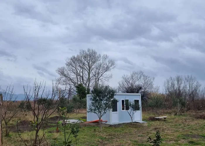 Camping & Biofarm Gjegji Кемпинг *