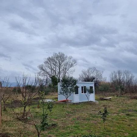 Camping & Biofarm Gjegji Кемпинг *