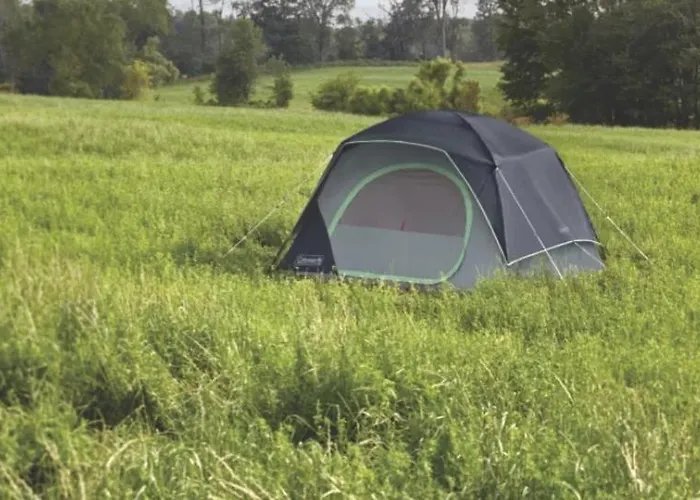 Camping & Biofarm Gjegji Kemping